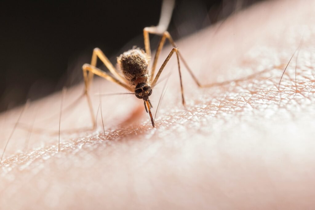 Check out our blog about Locally Acquired Dengue Case Confirmed in Baldwin Park, California